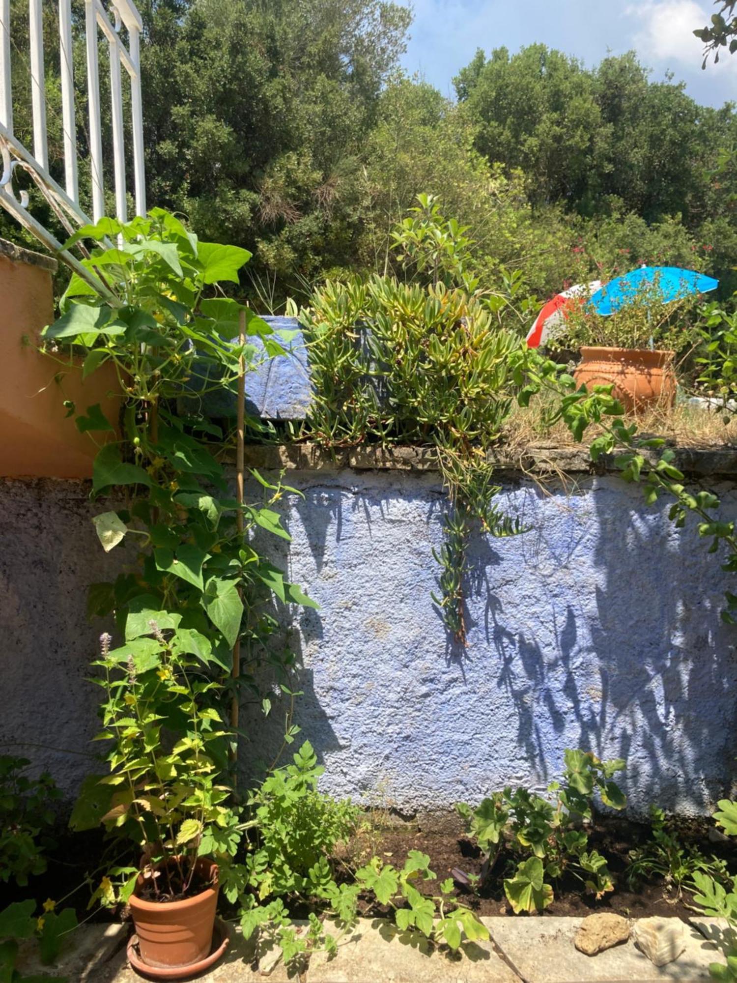 Kokkini Peach House Apartment Kokkinion ภายนอก รูปภาพ